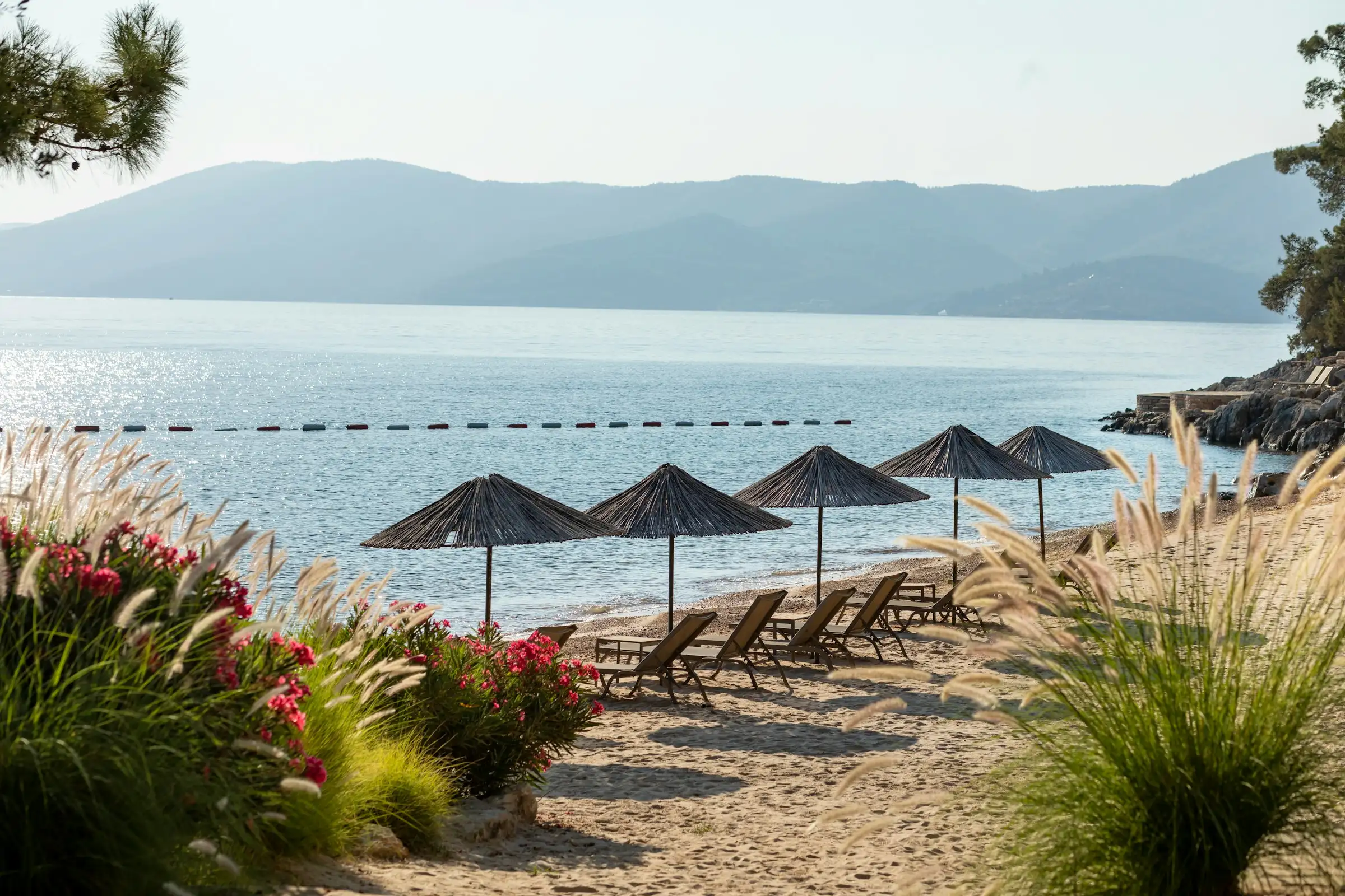 Bardakçı Bay